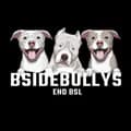 Bsidebullys-bsidebullys