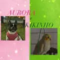 🩷• A & K •💚-aurora.e.kikinho