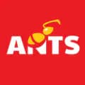 Ants Vietnam-antsvietnam.official