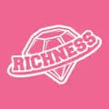 Richness-richness.studio