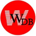 WDB MOTOR-wdb9999