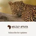 Wildly Africa-wildlyafrica