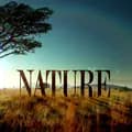 PBS Nature-pbsnature