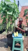 GROSIR PUPUK AGRO LESTARI-grosirpupukagrolestari