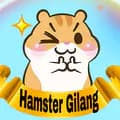 hamster gilang surabaya-hamstergilangsurabaya