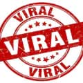 viraltv-viraltv85