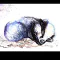 Lazy Badger-lazybadger0