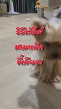 ซุปเห็ดงับ-suphed.yorkiedog