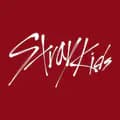 Stray Kids-jypestraykids