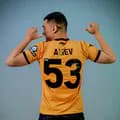 Aliev-aliev_53