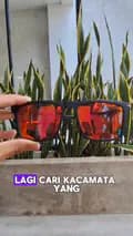 Sunglasses_store-sunglasses_store0