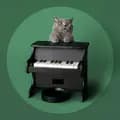 The Pet Piano 🐕 🐈-thepetpiano
