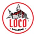 Thuỷ Sinh Loco Aquariums-thuysinhlocoaquariums