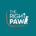 The Right Paw 🐾-the_right_paw