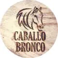 CaballoBronco com-caballobroncoshop