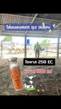 แสงทองอุปกรณ์ไก่ชน-stkai8899