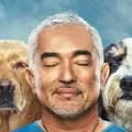 Cesar Millan-imcesarmillan