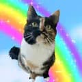 ❤️😻Kitty love✨-rainbow.kitten.surprise