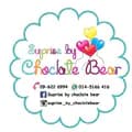 suprise choclate bear-choclatebear3010