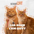 Gia đình Cam Quýt 🍊🍊-iceandcamthecat