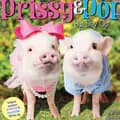 Prissy and Pop-prissy_pig
