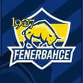 FENERBAHÇE-dinamofener1907