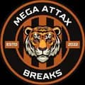 Mega Attax Breaks-megaattaxbreaks