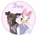 DAISY MAY-daisy____may