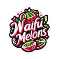 WAIFU MELONS-waifumelonss