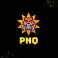 PNQ-REVIEW-pnqreview99
