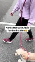 Maddie, Jovie & Nessie🤍🤎🐩-social_work_therapy_dog