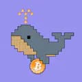 Crypto Alts and Memes-cryptoprojects