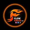 Flow_Callerd-flow_callerd