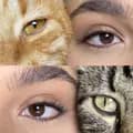 🐈 Rîjîi & Merlino 🐈‍⬛-the.cats.from.the.moon17