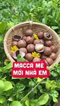 Home Nuts-homenutss