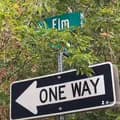 Oddities on Elm Street-odditiesonelmstreet