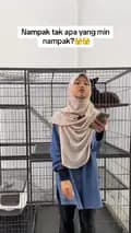 Cats Hometown Pet Shop Klang-cats_hometown