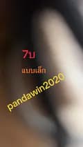 pandawin2020-pandwin2020