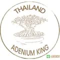 ADENIUM KING-adeniumking10