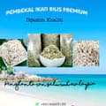 AMANDAH HASIL LAUT-ikanbilis.premium