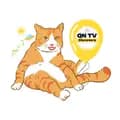 QN TV-qndiscovery