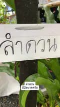 ล่ำซำพันธุ์ไม้beegarden-beegarden49