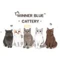 Winner blue-winner.blue.catte