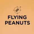 flyingpeanuts-flyingpeanuts