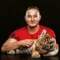 Kim-tiger_house_spb