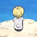 tiny sanji-sasyashy