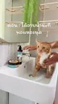 เมเม่อินเลิฟแคท-memeinlovecat