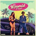 Lasmid-lasmidofficial1