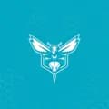 Charlotte Hornets-hornets