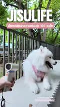 อูยูบิงซู&ทูยู ซามอยด์พาเที่ยว-thesamoyed.journey